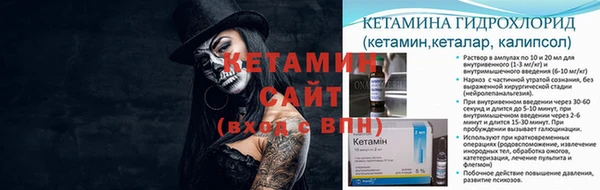 гидра Алексин