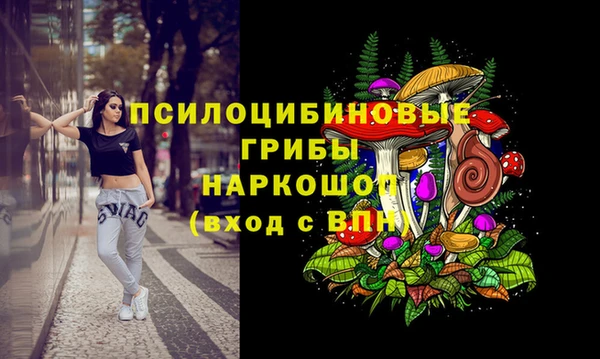 стафф Алексеевка