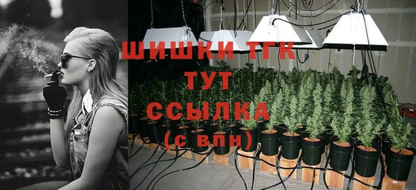 PSILOCYBIN Абдулино