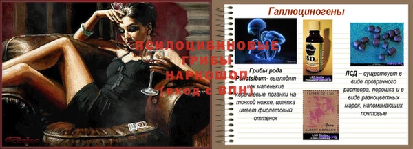 ешки Абинск