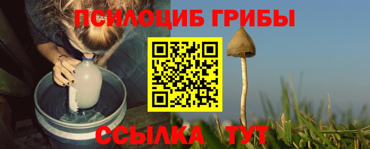 Псилоцибиновые грибы мухоморы  Вход с VPN  Звенигород 